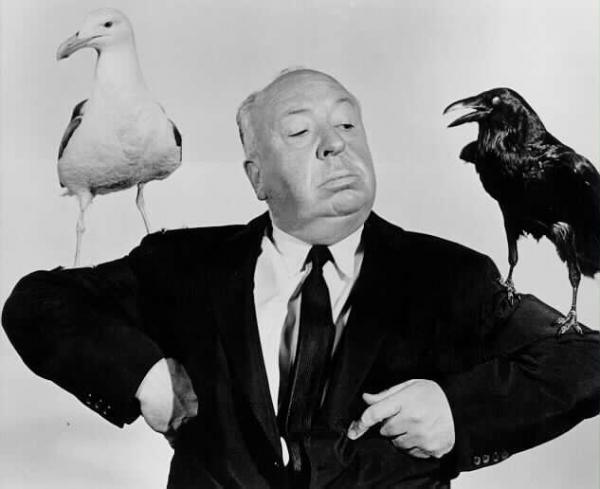 Hitchcock pájaros