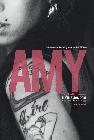 Cartula de la pelcula Amy (La chica detrs del nombre)
